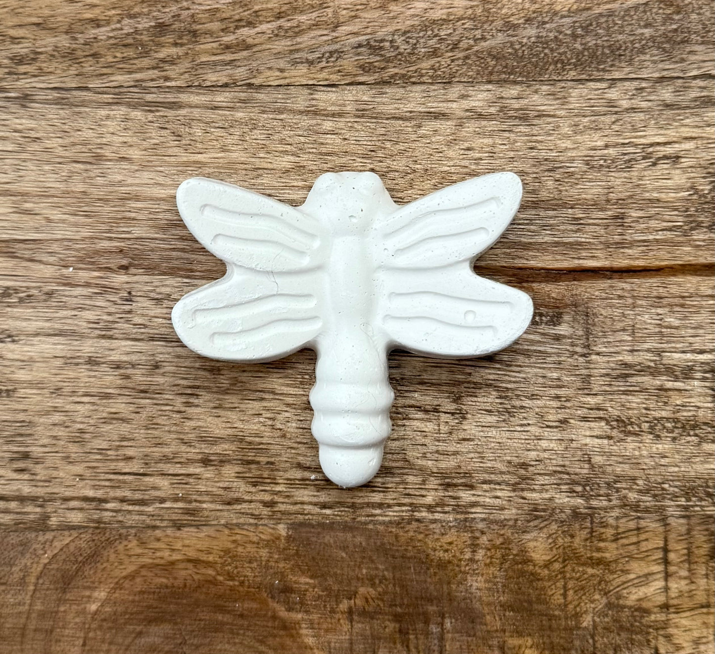 Plaster Intaglio | Dragonfly